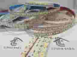 ریسه 12 ولت تراکم 240